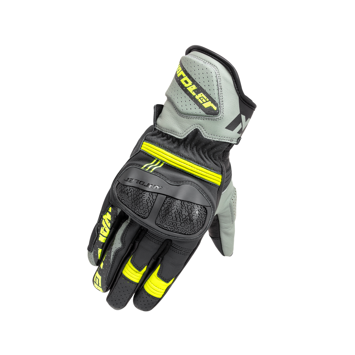 Raptor1_2.png?crop=center&